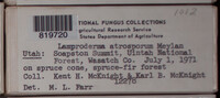 Image Associated With the Occurence